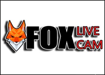 foxlivecam.com Kamere Uživo